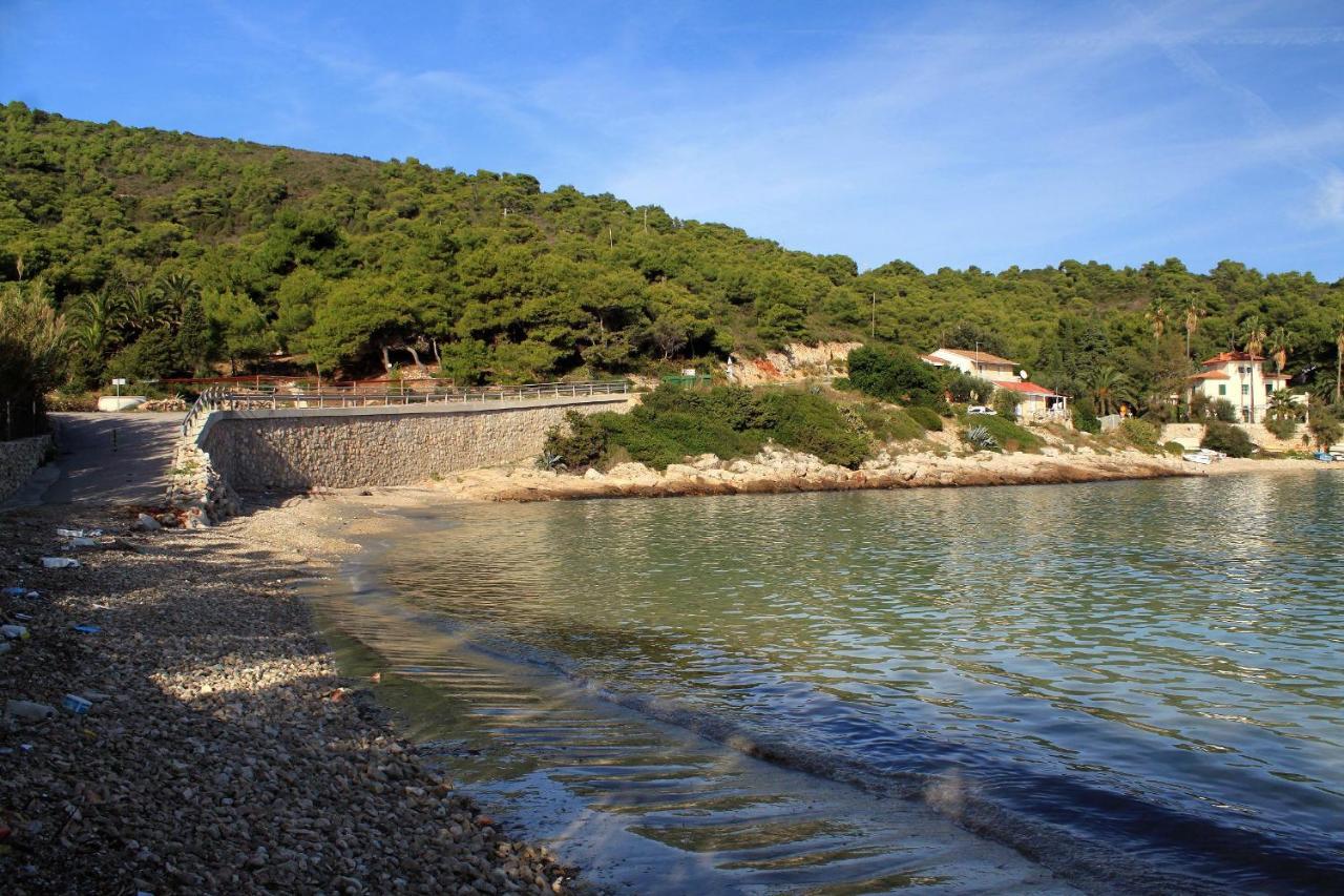 Apartments By The Sea Milna, Vis - 8946 ルカバックス エクステリア 写真